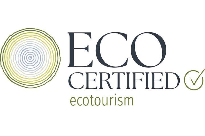 Natural Bridge Glow Worm Night Tour from Gold Coast