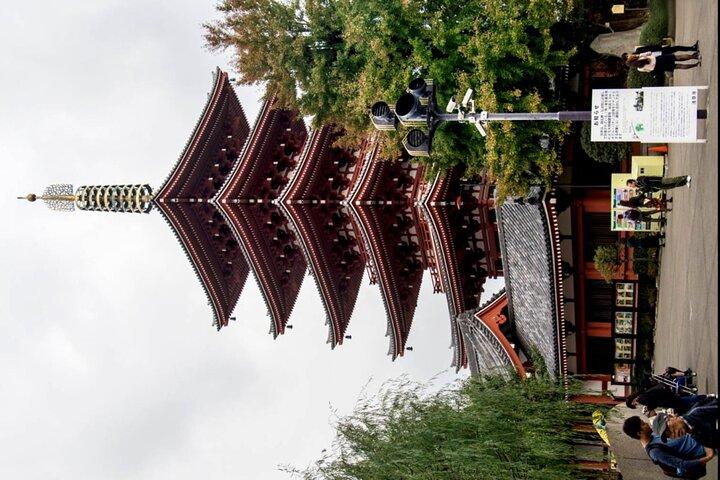 Tokyo full day tour with English speaking driver