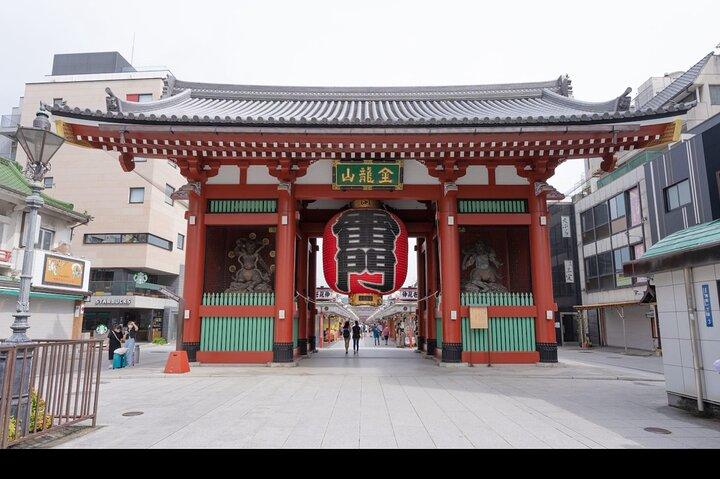 Tokyo full day tour with English speaking driver
