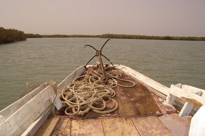 River cruise Fishing in the Gambia Lunch Included