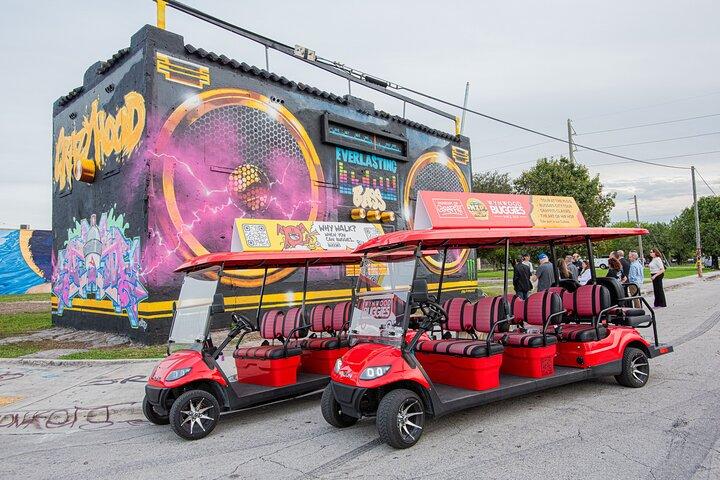 1 Hour WYNWOOD BUGGIES tour