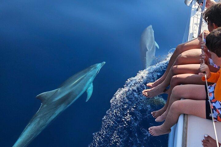 Experience sharing sailboat Marbella, dolphins, drinks ,elan 37