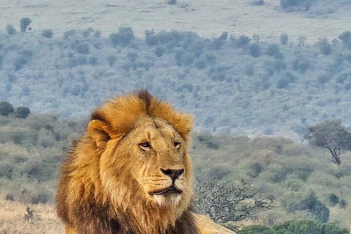 3 Days Masai Mara private mid luxury safari