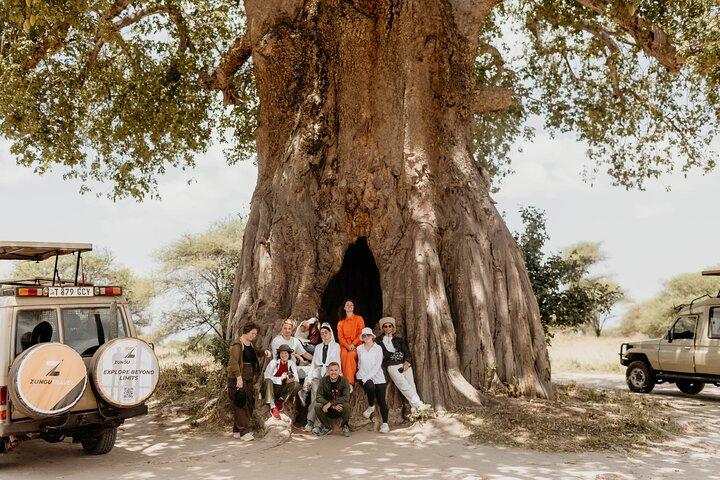 Tanzania Big 3 Safari 5 Days Tarangire, Serengeti and Ngorongoro