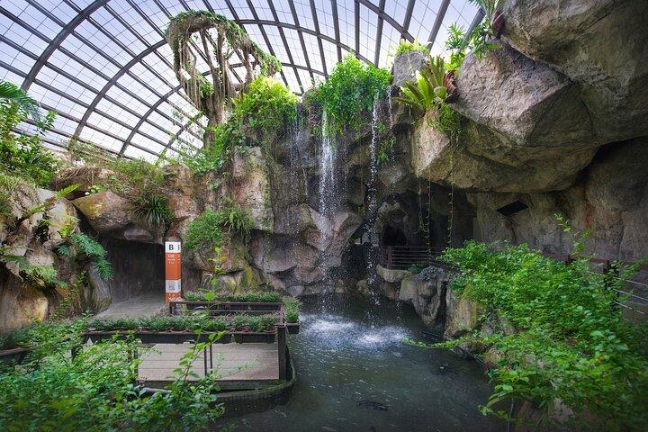Penang City and Entopia Butterfly Farm Tour