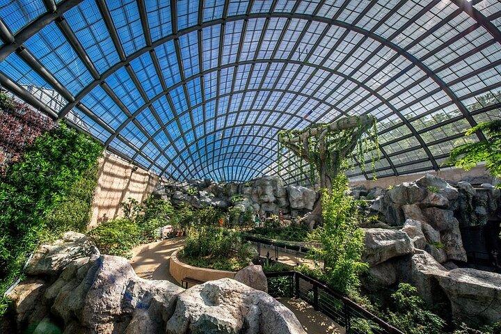 Penang City and Entopia Butterfly Farm Tour