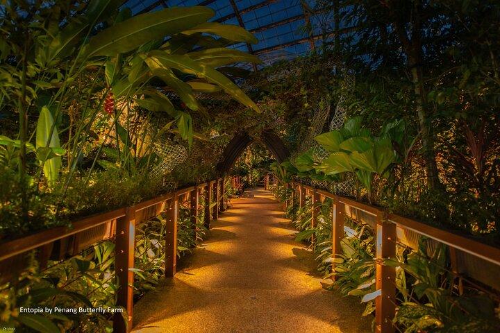 Penang City and Entopia Butterfly Farm Tour