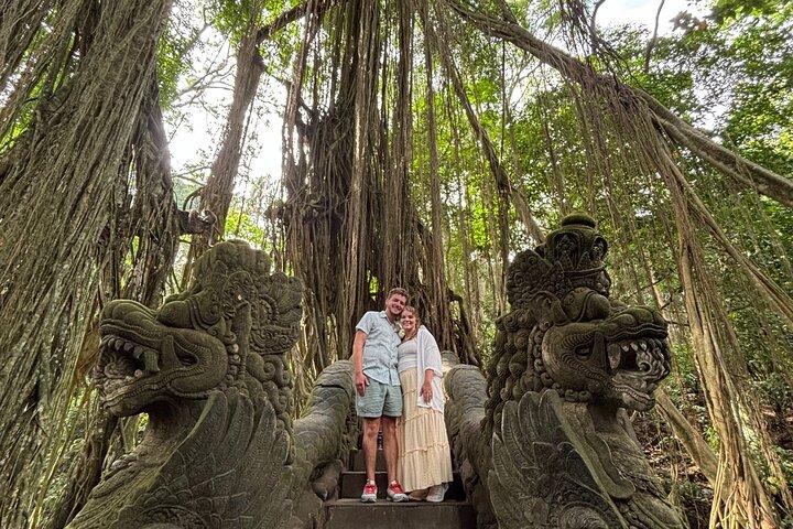 Ubud Tour Monkey Forest, Water Temple, Waterfall, Rice Terrace
