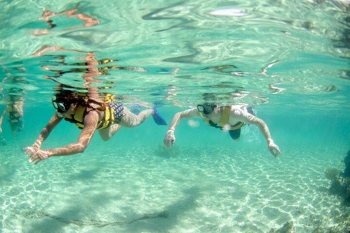 Speed Through Cancun: Explore Mangroves, Reefs & MUSA in One Tour