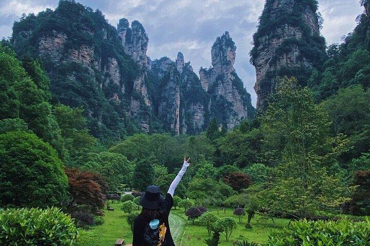Zhangjiajie National Forest Park Entrance Ticket