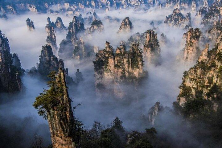 Zhangjiajie National Forest Park Entrance Ticket