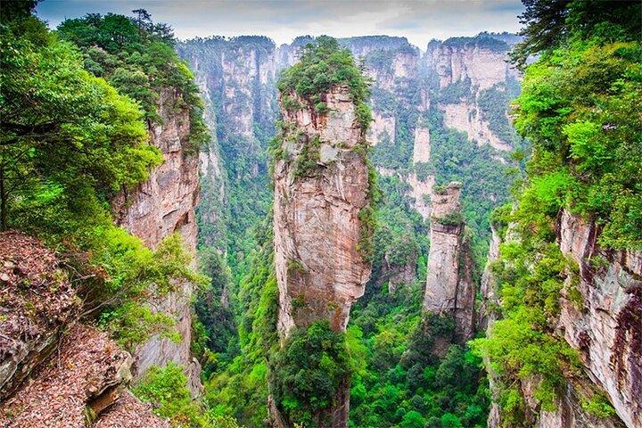 Zhangjiajie National Forest Park Entrance Ticket