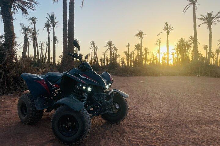 Quad 1h30 in the Palmeraie with Meal and Camel Options