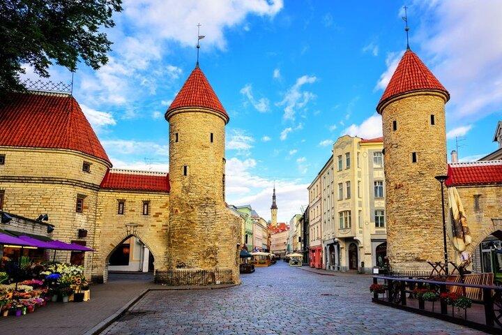 Tallinn Premium Small-Group Tour for Cruise Guests with Free Time