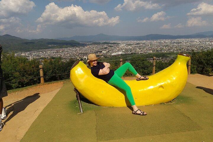 Kyoto: Arashiyama Tenryuji Temple, Bamboo Grove, and Monkeys Tour