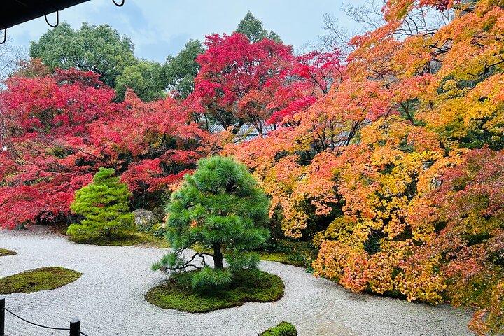 Kyoto Autumn Foliage Private Car Tour Temples and Gardens