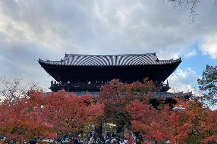 Kyoto Autumn Foliage Private Car Tour Temples and Gardens