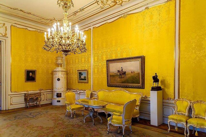 Vienna Albertina Palace Ticket and Audio Tour