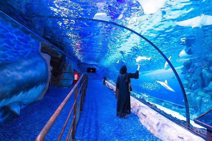 Dubai Aquarium and Underwater Zoo Ticket with Full Access Option