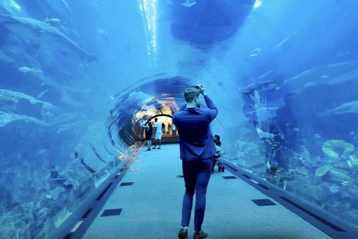 Dubai Aquarium and Underwater Zoo Ticket with Full Access Option