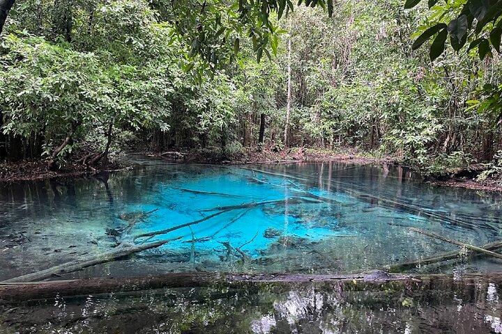 Tiger Cave Temple, Emerald Pool & Hot Springs Tour from Krabi