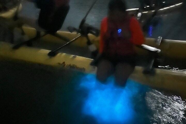 Bioluminescent Bay La Parguera Water Bike Tour