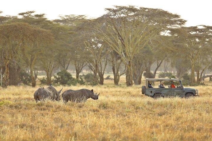 3 Night Adventure at the Foothills of Mt Kenya (Ol Pejeta)