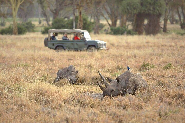 3 Night Adventure at the Foothills of Mt Kenya (Ol Pejeta)