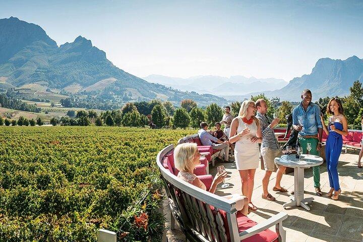 Stellenbosch Wine Tour half day from Cape Town