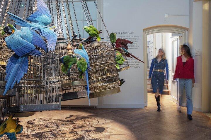 Art Zoo Museum Amsterdam Tickets
