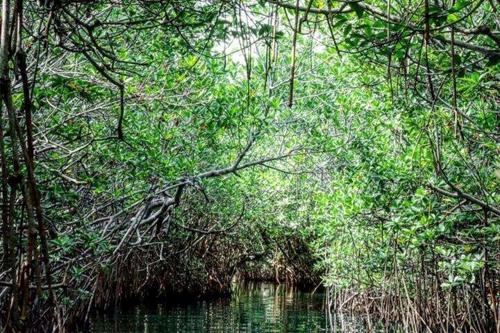 Speedboat and Snorkeling Adventure in Cancun
