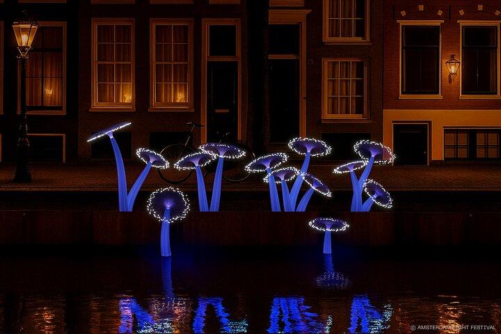 Amsterdam Light Festival Canal Cruise with Captain Guide & Drinks