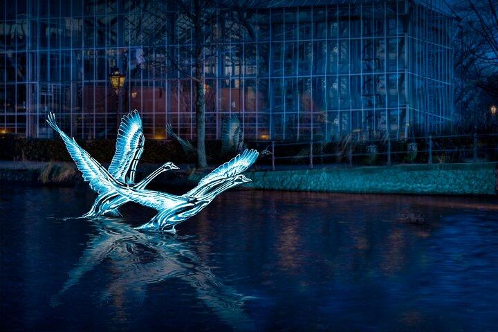 Amsterdam Light Festival Canal Cruise with Captain Guide & Drinks