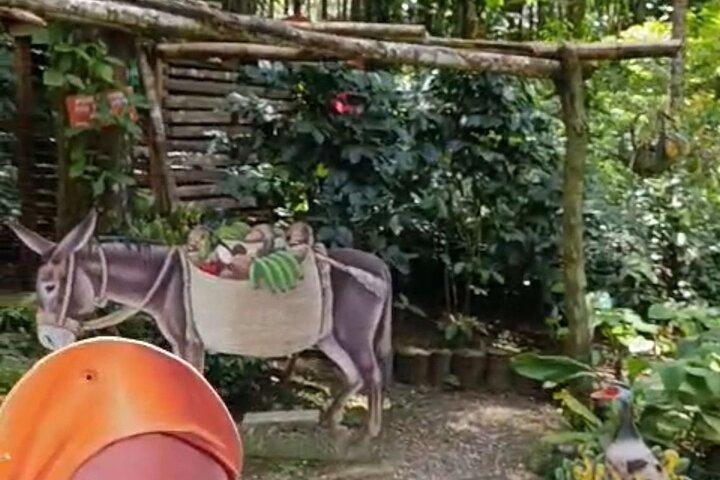 Puerto Plata City Tour with Lunch, Mountain and Factory Visits