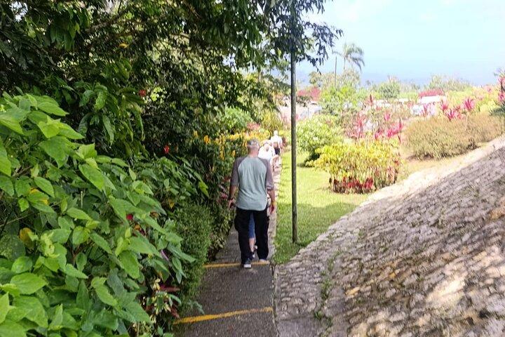 Puerto Plata City Tour with Lunch, Mountain and Factory Visits