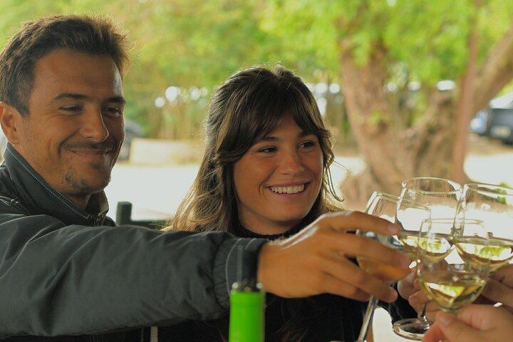 Full Day Private Wine Tasting Tour - Sesimbra & Arrabida Park