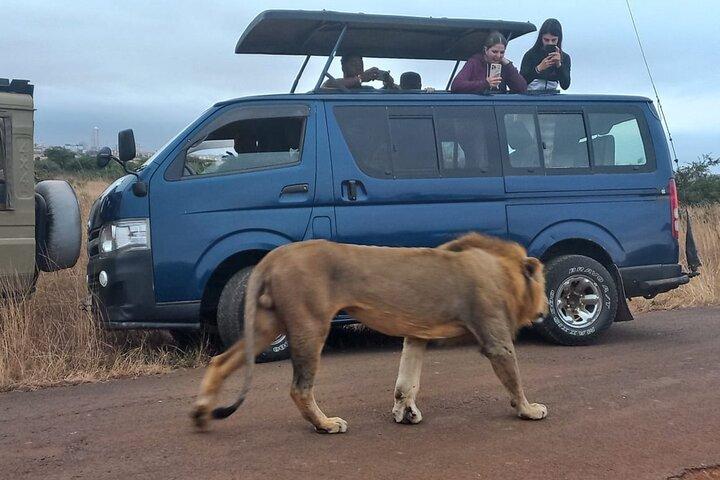 Nairobi National Park Half-Day Game Drive Guided Tour