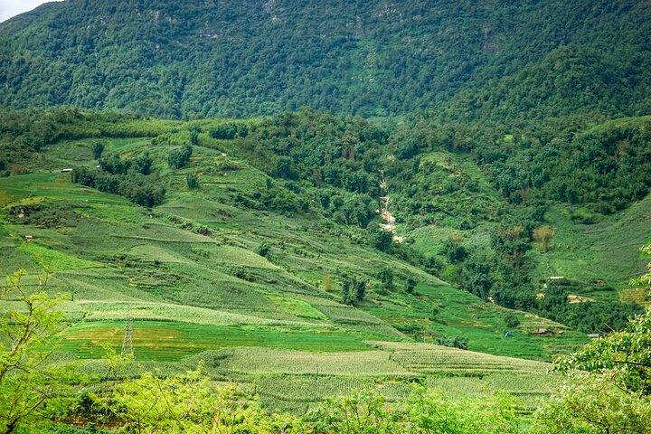Be a Local: Sapa 2-Day Trekking & Homestay