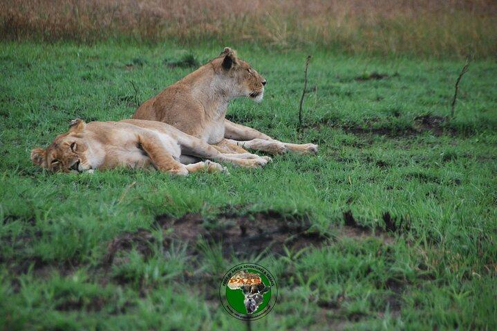 11 Days Honeymooner Private Safari Package
