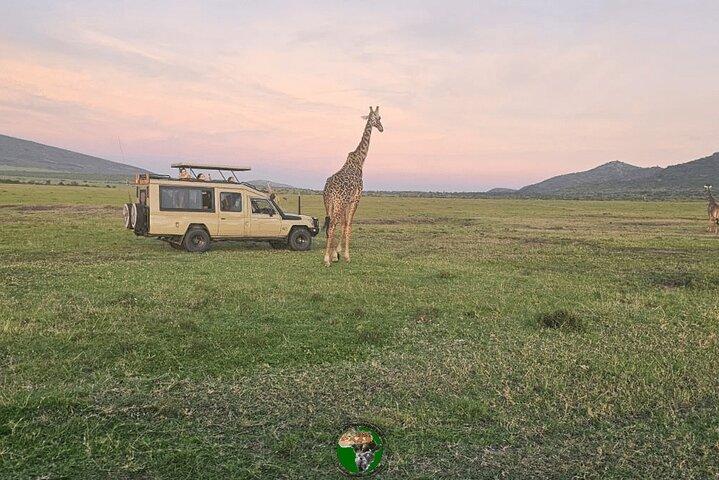 11 Days Honeymooner Private Safari Package