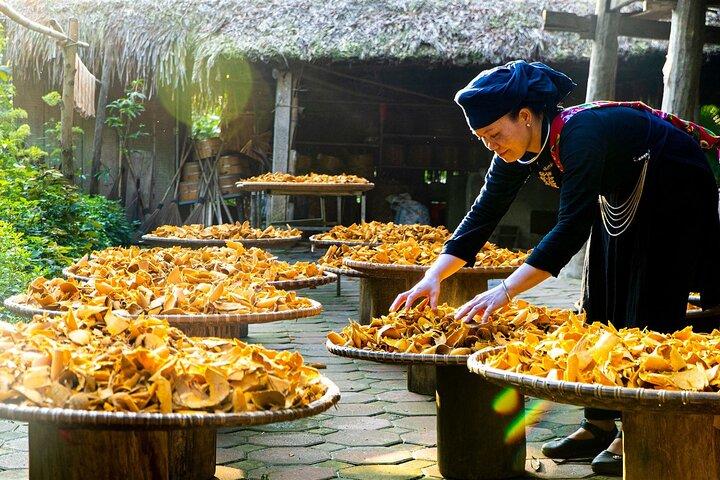 Village Thai Hai DE l'Ethnie Tay Community Tourism in Vietnam