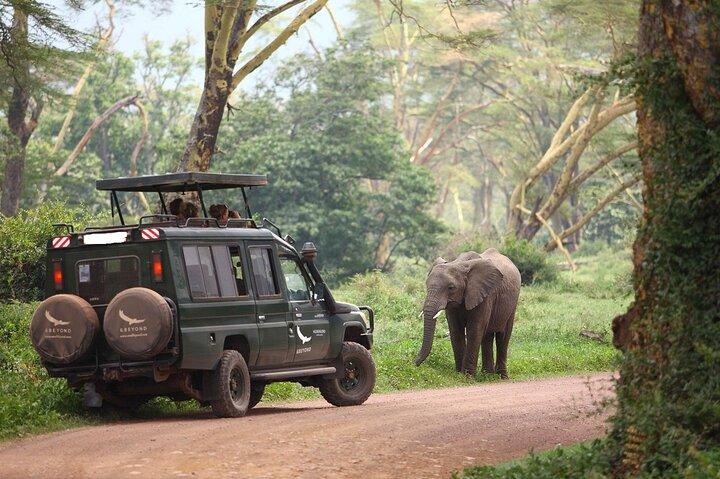 Ngorongoro Crater with Nature Tour and Lunch