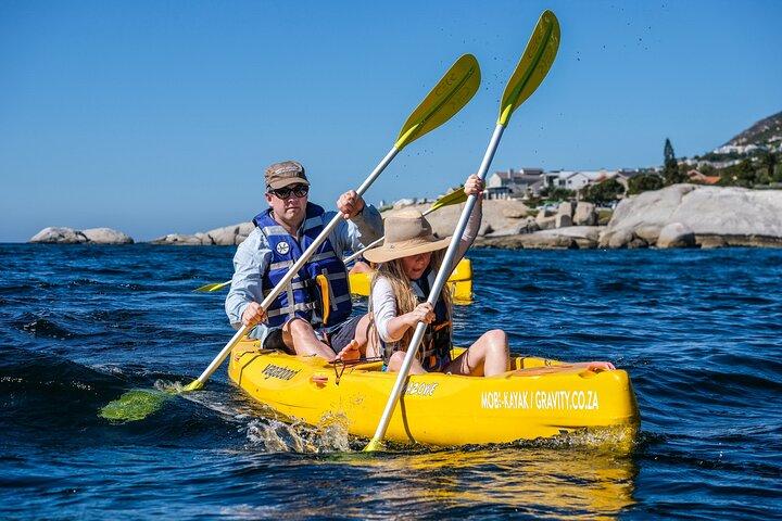 Kayak to the penguins in Simons Town
