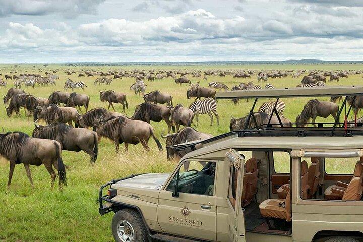 Ngorongoro Crater with Nature Tour and Lunch