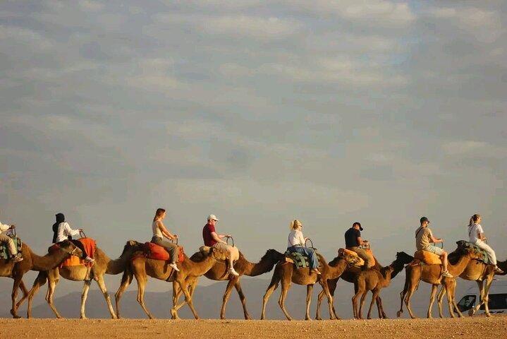Desert Agafay Tour with show Dinner/Quad Bike & Sunset Camel Ride