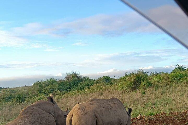 Half Day Guided Tour at Nairobi National Park