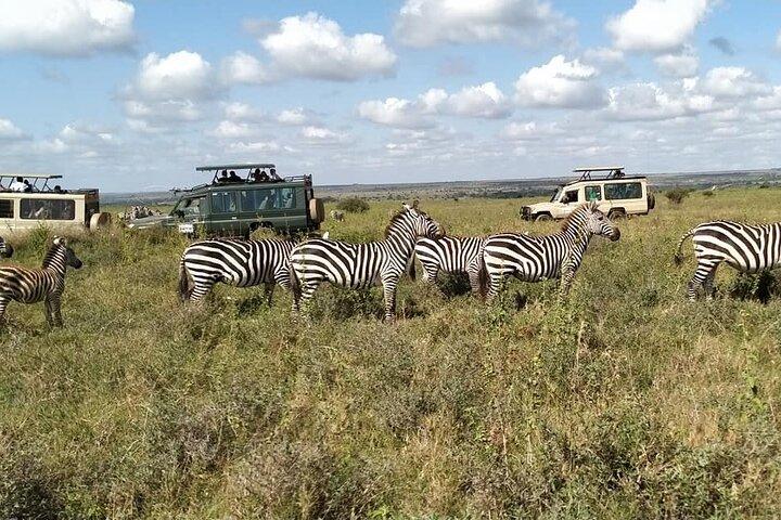 Half Day Guided Tour at Nairobi National Park