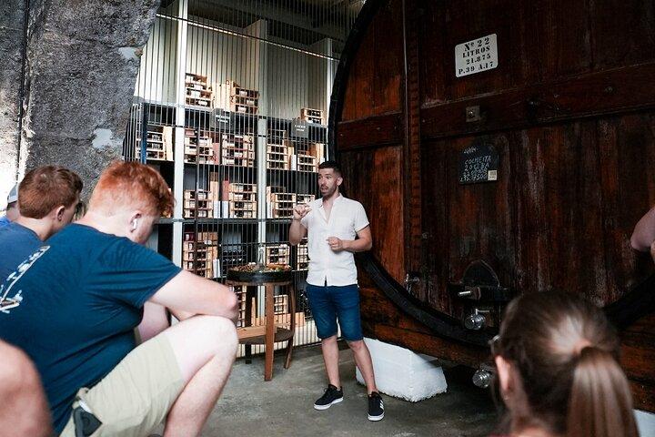 Port Wine Tour | 3 Cellars | 7 Tastings | 12 Participants Maximum