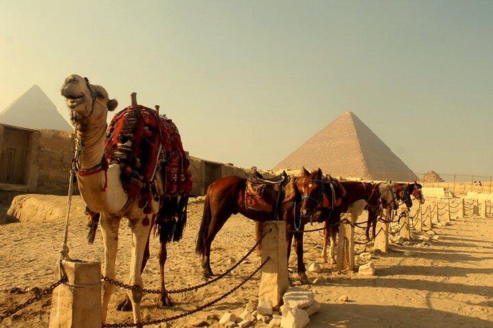 Nile Jewel 5 Star Nile Cruise and the Red Sea