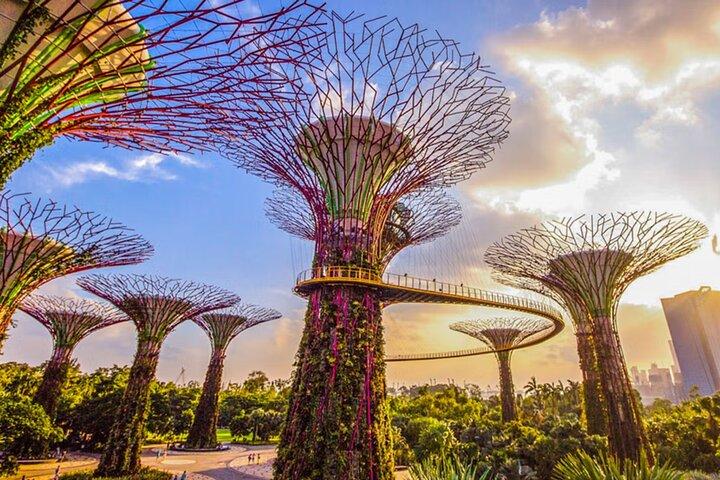 Gardens by the Bay Cloud Forest Flower Dome Options Supertree